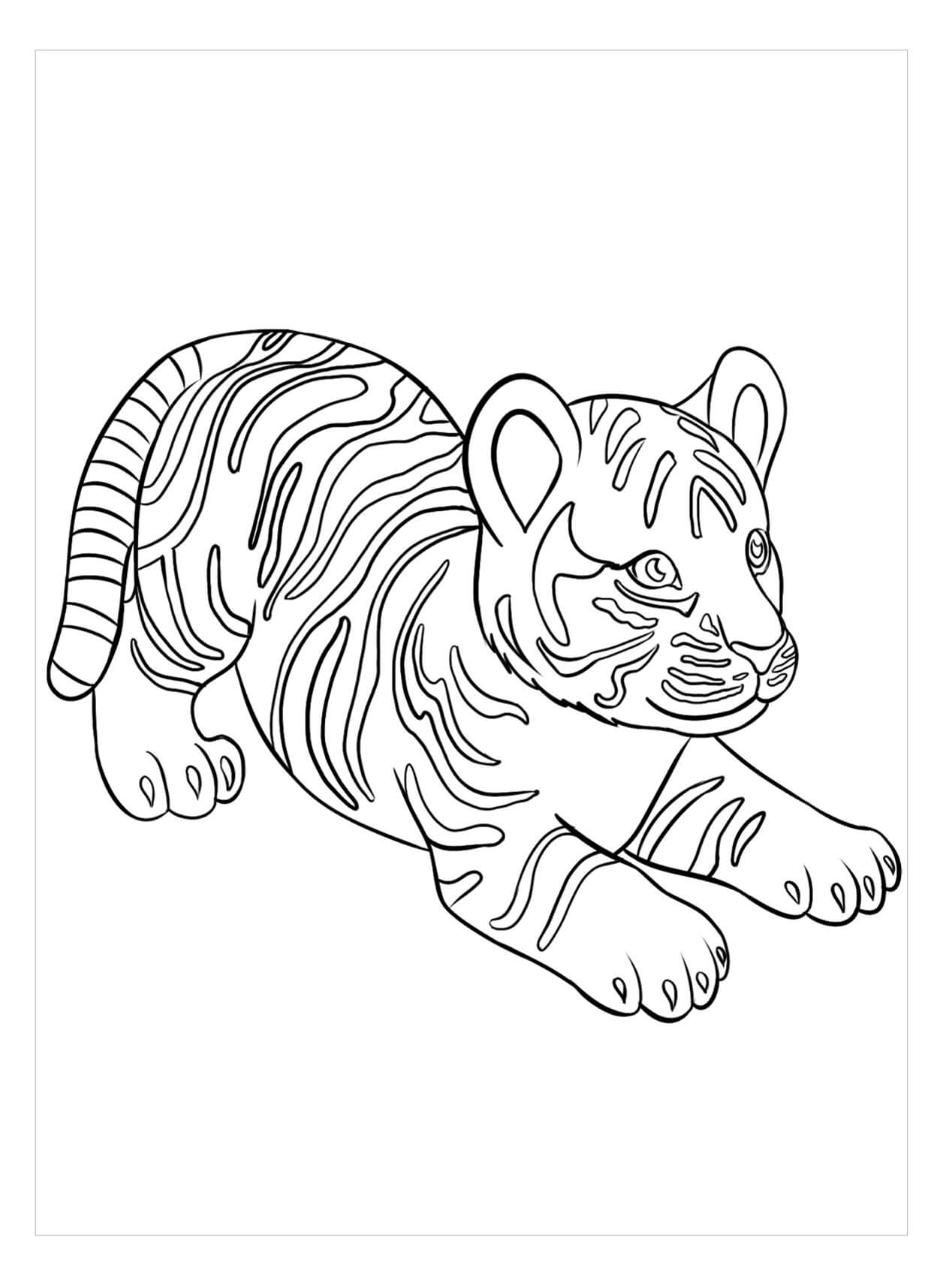 Dibujo de Tigre Perfecto para Colorear