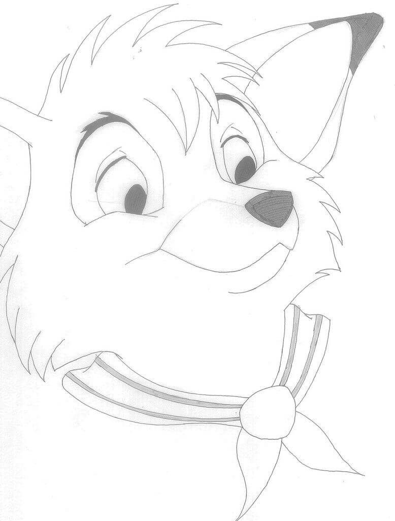 Dibujo de Cabeza Tod para Colorear