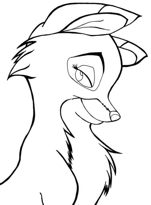 Dibujo de Cara Tod Lindo para Colorear