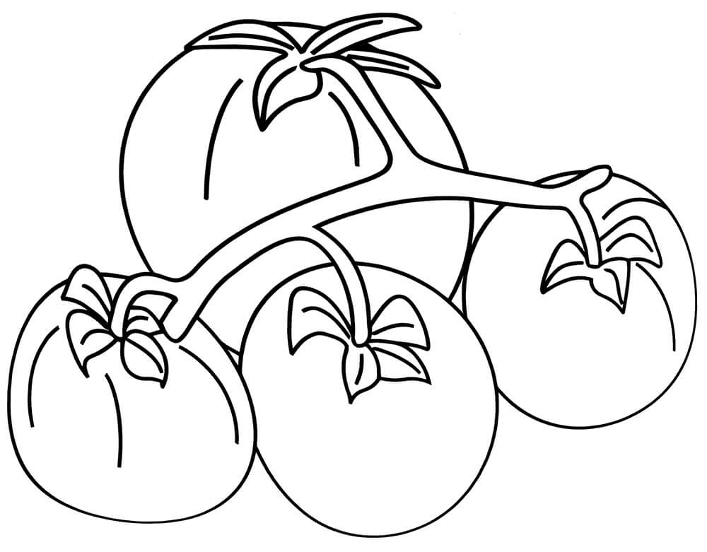 Dibujo de Cuatro Tomates para Colorear