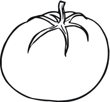 Dibujo de Tomate Normal para Colorear