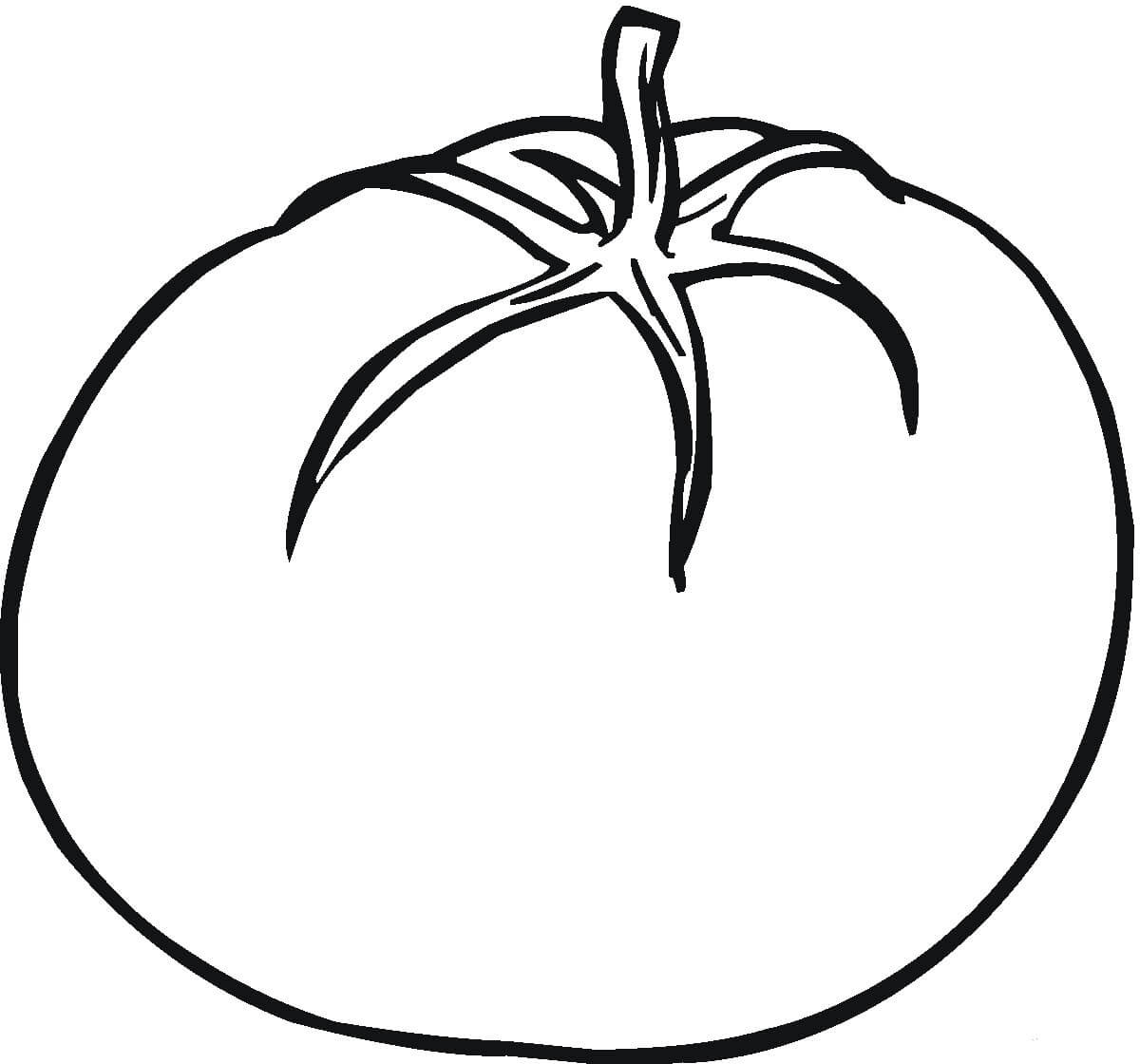 Dibujo de Tomate Normal para Colorear