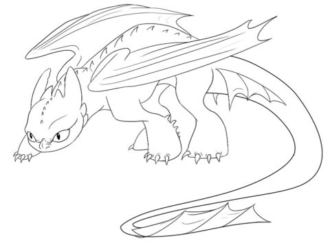 Dibujo de Progresivo Toothless para Colorear