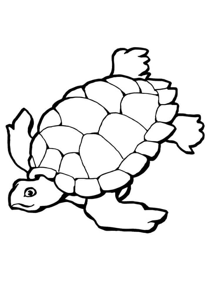 Dibujo de Tortuga Marina Nadando para Colorear
