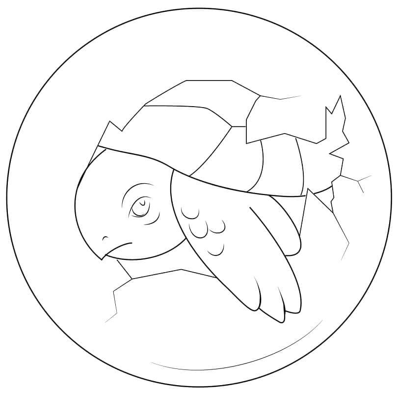 Dibujo de Bonita Tortuga para Colorear