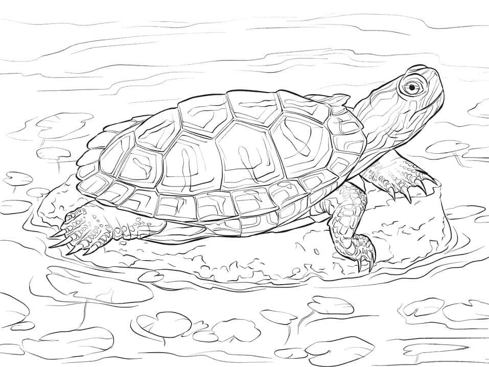 Dibujo de Control Deslizante de Orejas Rojas para Colorear