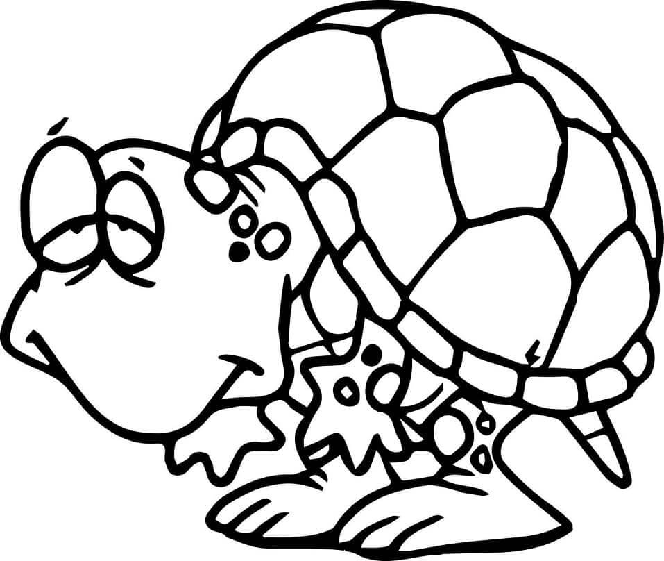 Dibujo de Divertida Tortuga Vieja para Colorear