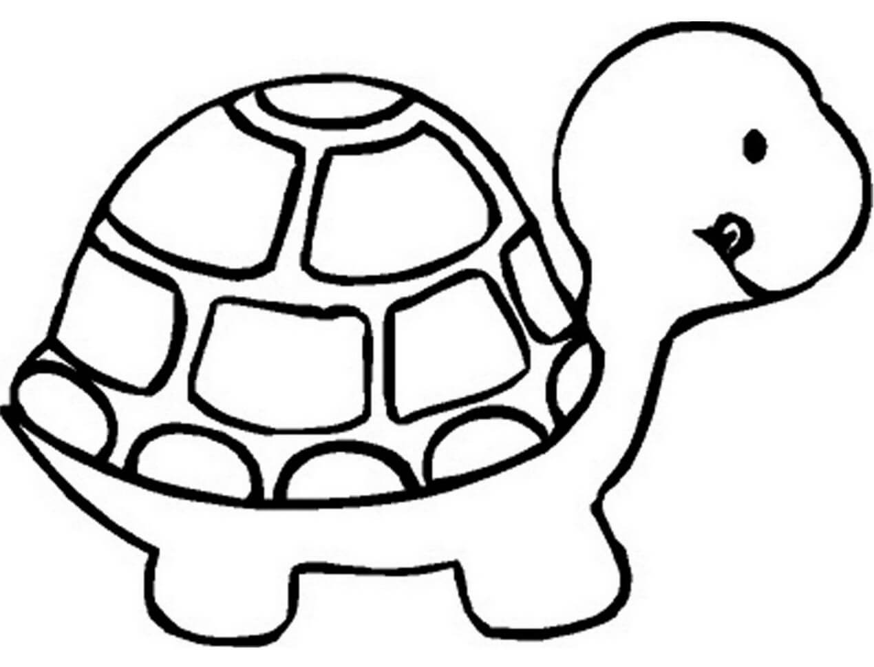 Dibujo de La Tortuga Es para Nio para Colorear