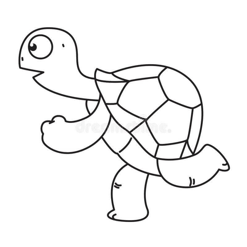 Dibujo de Tortuga Corriendo para Colorear