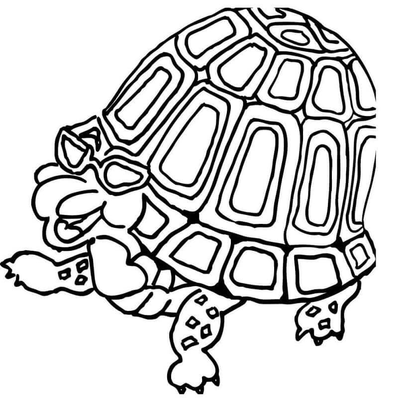 Dibujo de Tortuga Divertida para Colorear