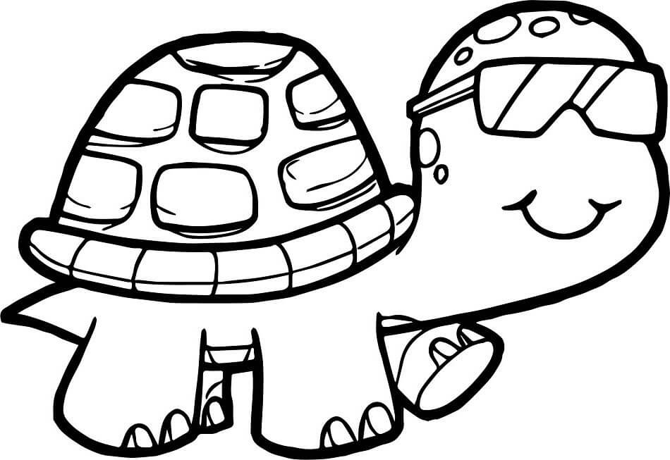Dibujo de Tortuga Fresca para Colorear