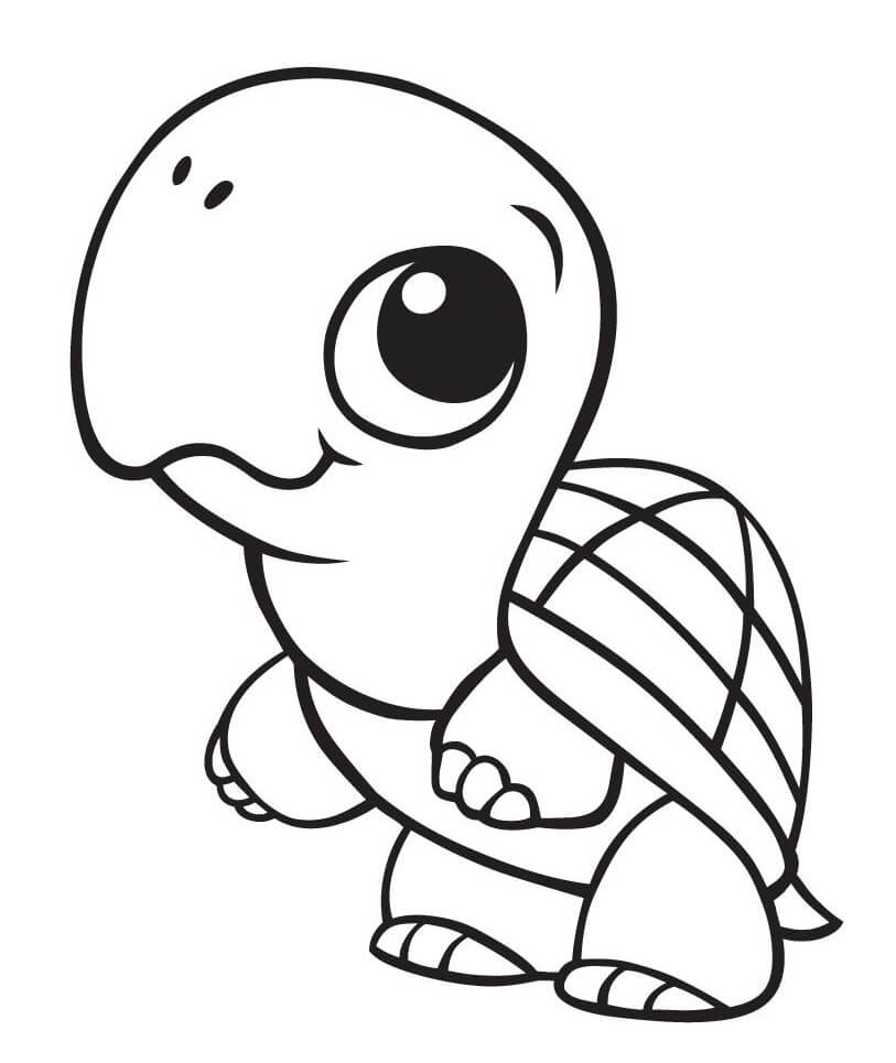 Dibujo de Tortuga Linda para Colorear