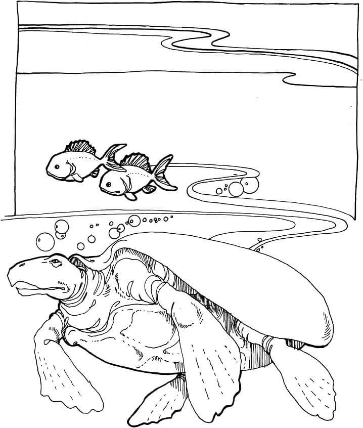 Dibujo de Tortuga Marina Extinta Archelon para Colorear