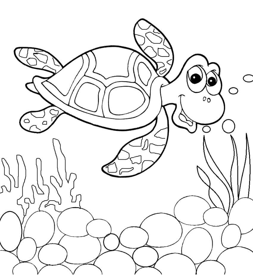 Dibujo de Tortuga Nadando para Colorear