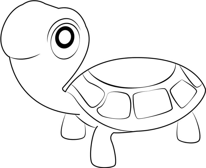 Dibujo de Tortuga Sonriendo para Colorear