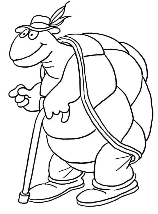 Dibujo de Tortuga Vieja para Colorear