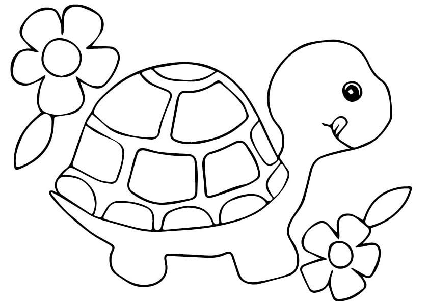 Dibujo de Tortuga y Flores para Colorear