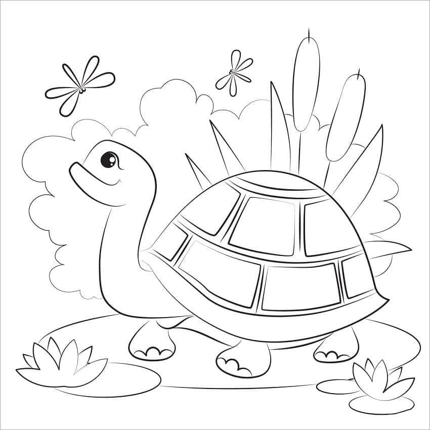 Dibujo de Tortuga y Liblula para Colorear