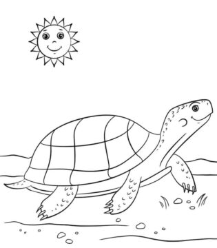 Dibujo de Tortuga y Sol Sonriendo para Colorear