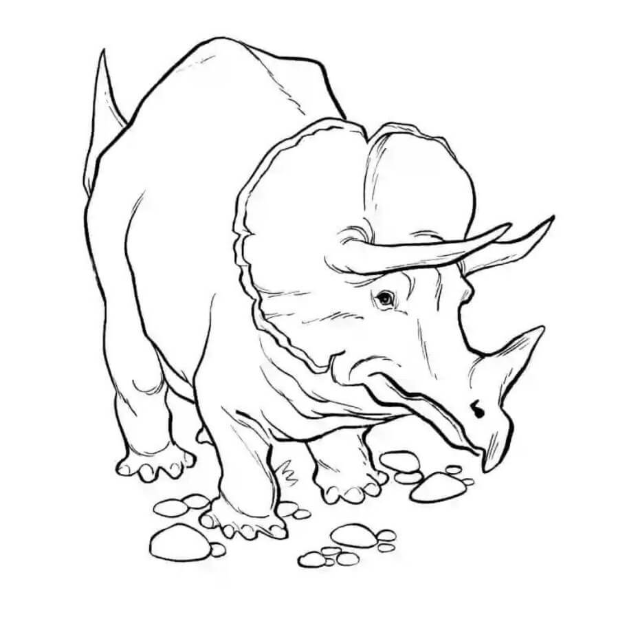 Dibujo de Fotos Gratis de Triceratops para Colorear