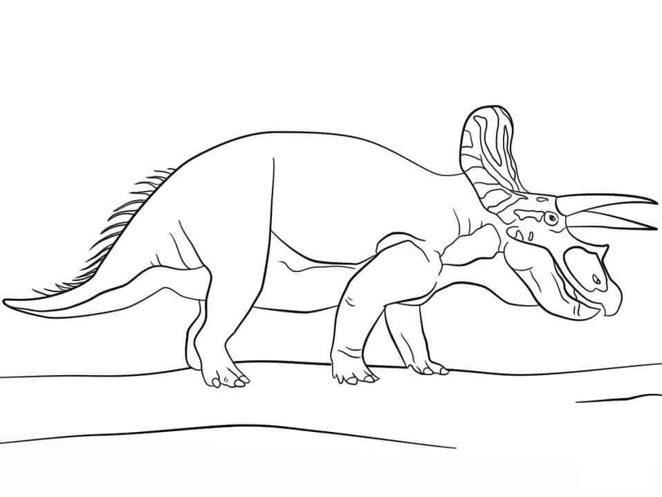 Dibujo de Parque Jurasico Triceratops para Colorear