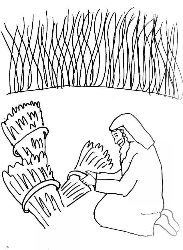 Dibujo de Agricultor y Trigo para Colorear
