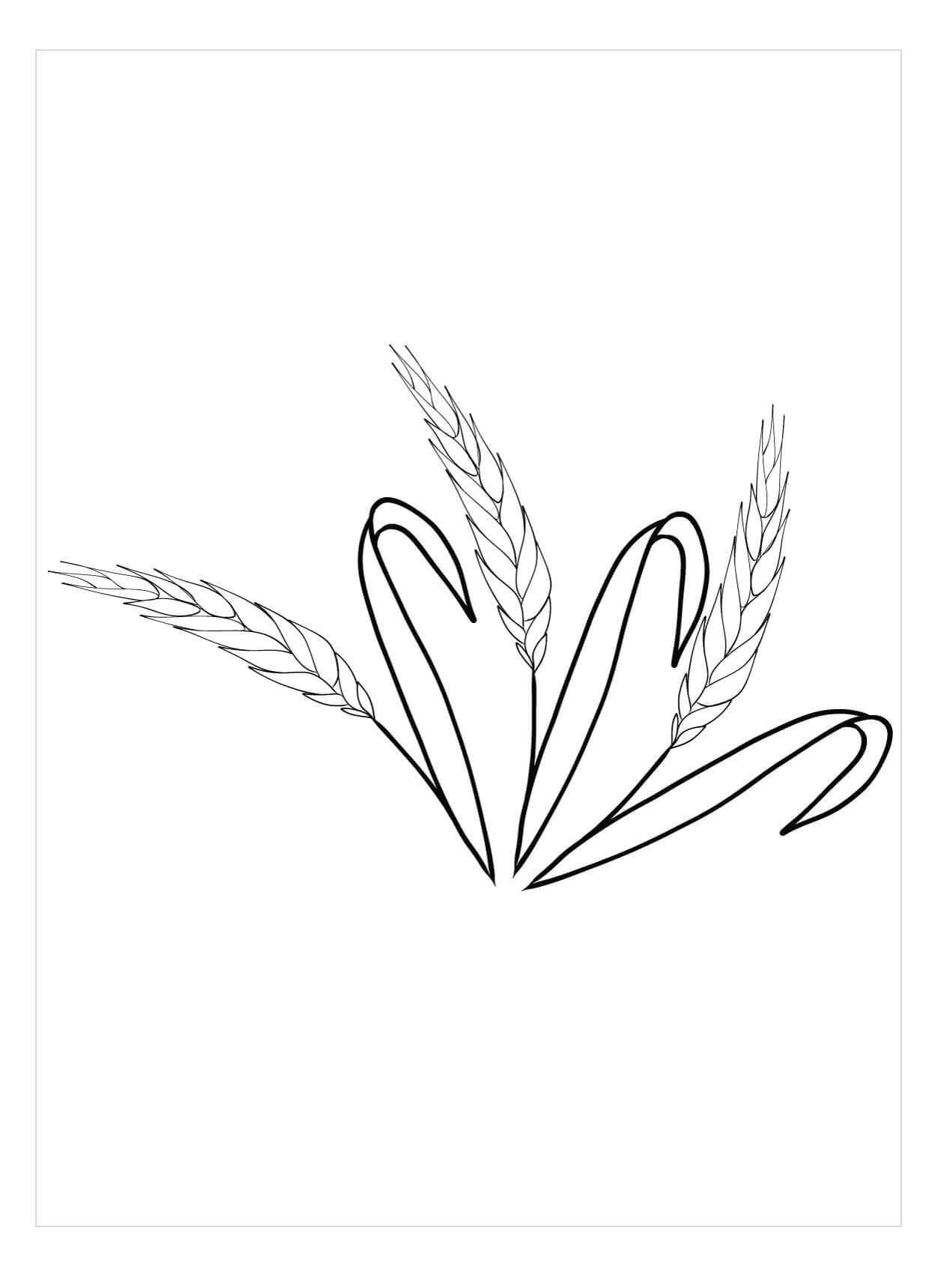 Dibujo de Campo de Trigo para Colorear