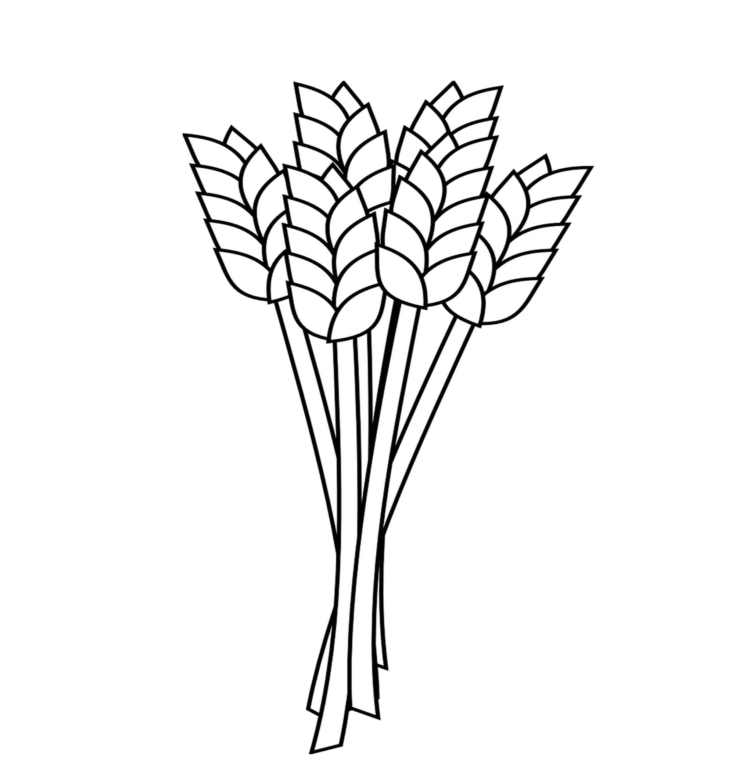 Dibujo de Gran Trigo para Colorear