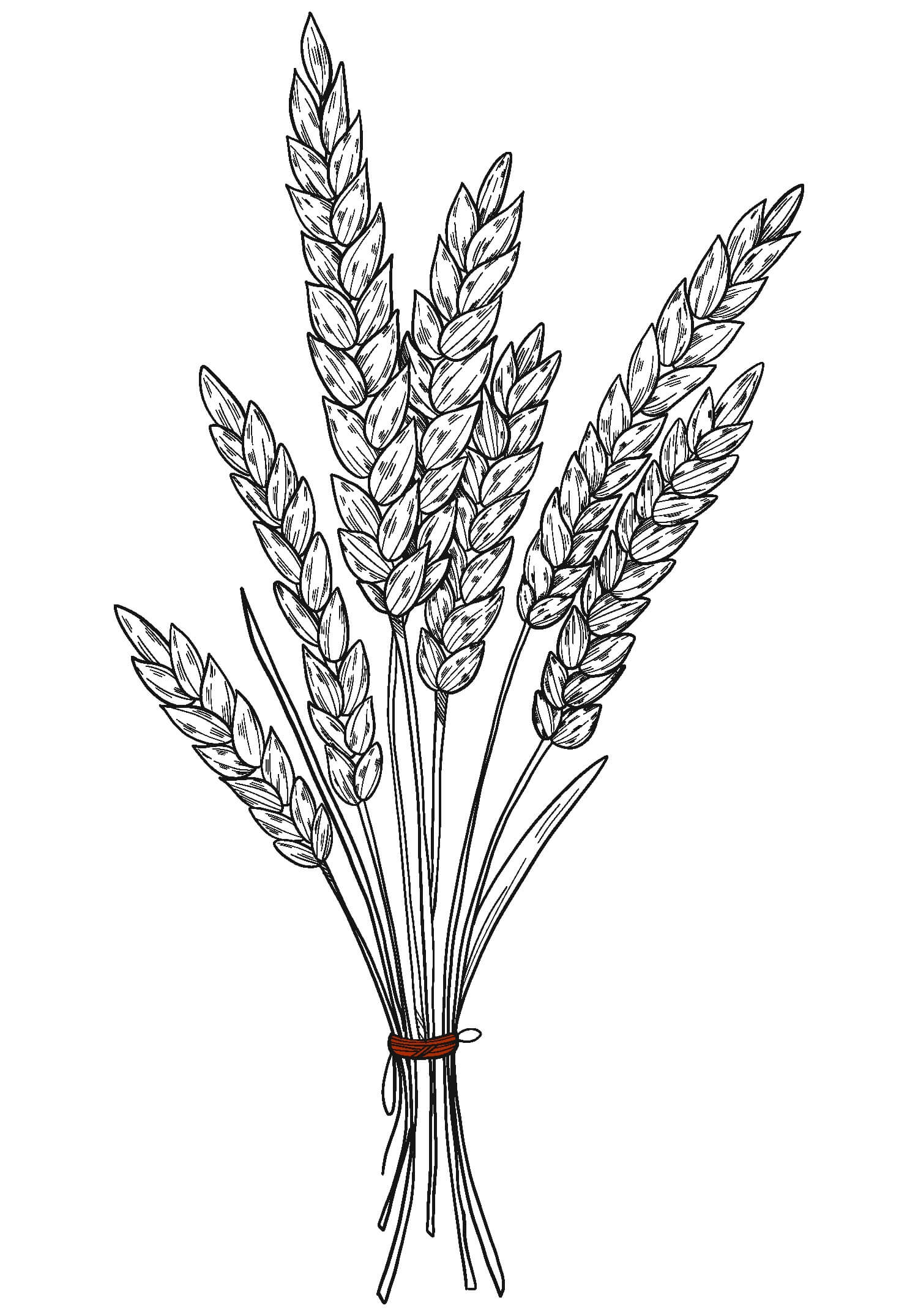 Dibujo de Trigo Impresionante para Colorear