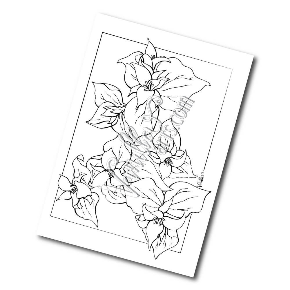 Dibujo de Cuadro de Flores Trillium para Colorear