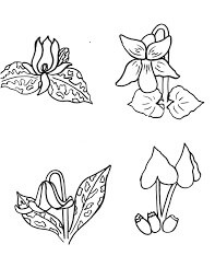 Dibujo de Instituto Tremont para Colorear