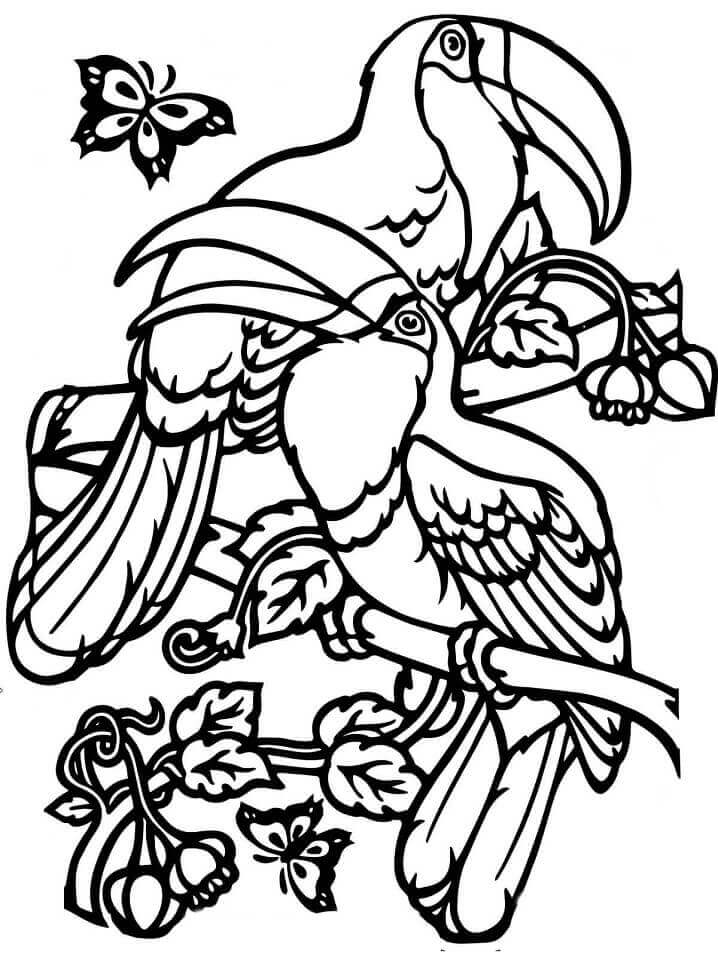 Dibujo de Dos Tucanes para Colorear