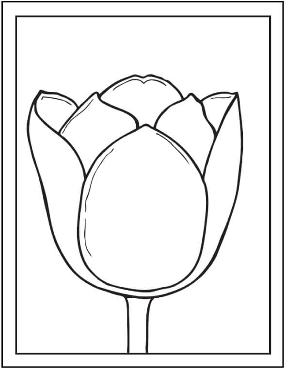 Dibujo de Marcos de Fotos de Tulipanes para Colorear