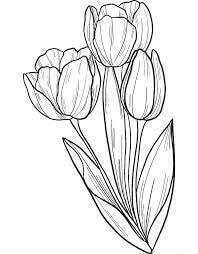 Dibujo de Ramo de Tulipanes para Colorear