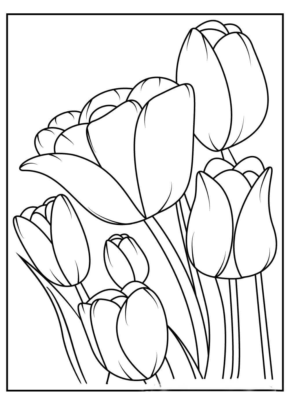 Dibujo de Seis Tulipanes para Colorear