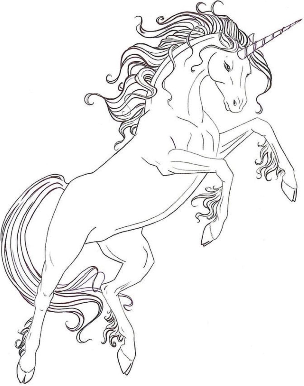 Dibujo de Unicornio Saltando para Colorear