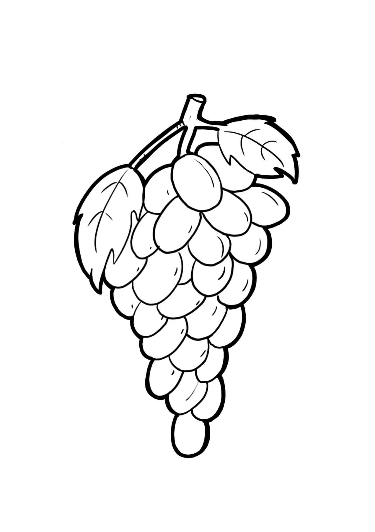 Dibujo de Uvas Frutas para Colorear