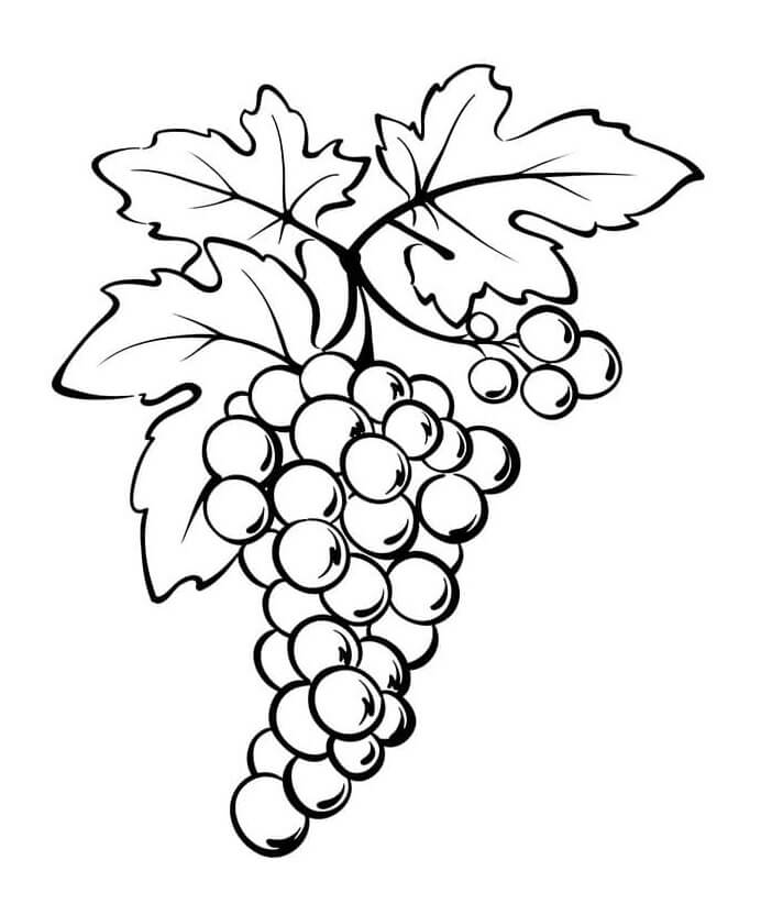 Dibujo de Buenas Uvas para Colorear
