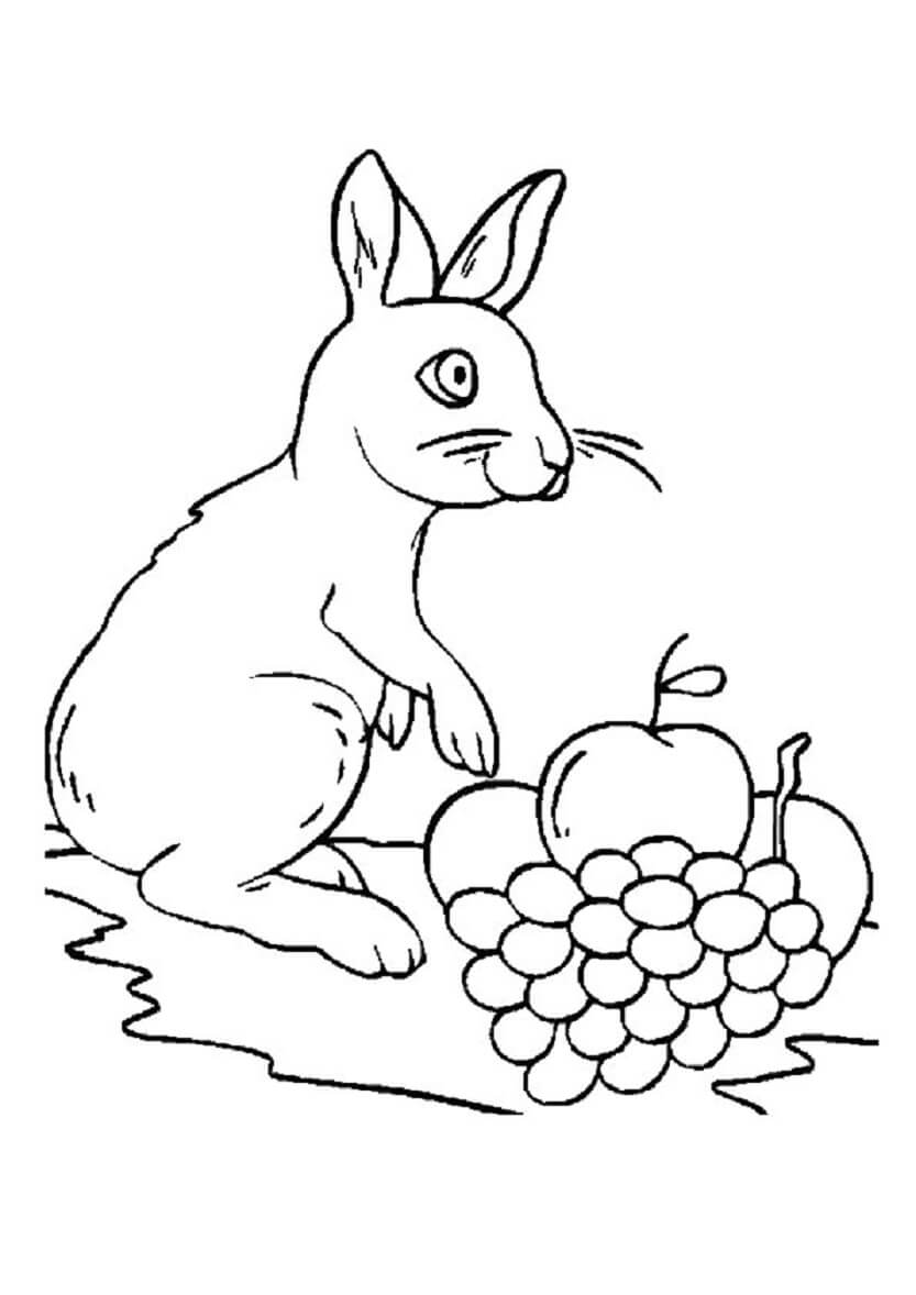 Dibujo de Conejo y Manzanas con Uvas para Colorear