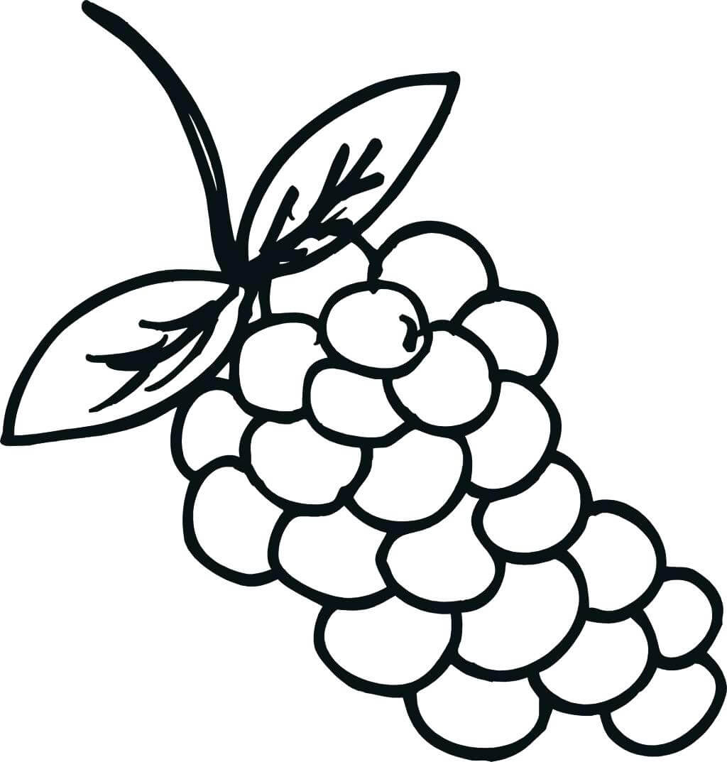 Dibujo de Dibujar Uvas para Colorear