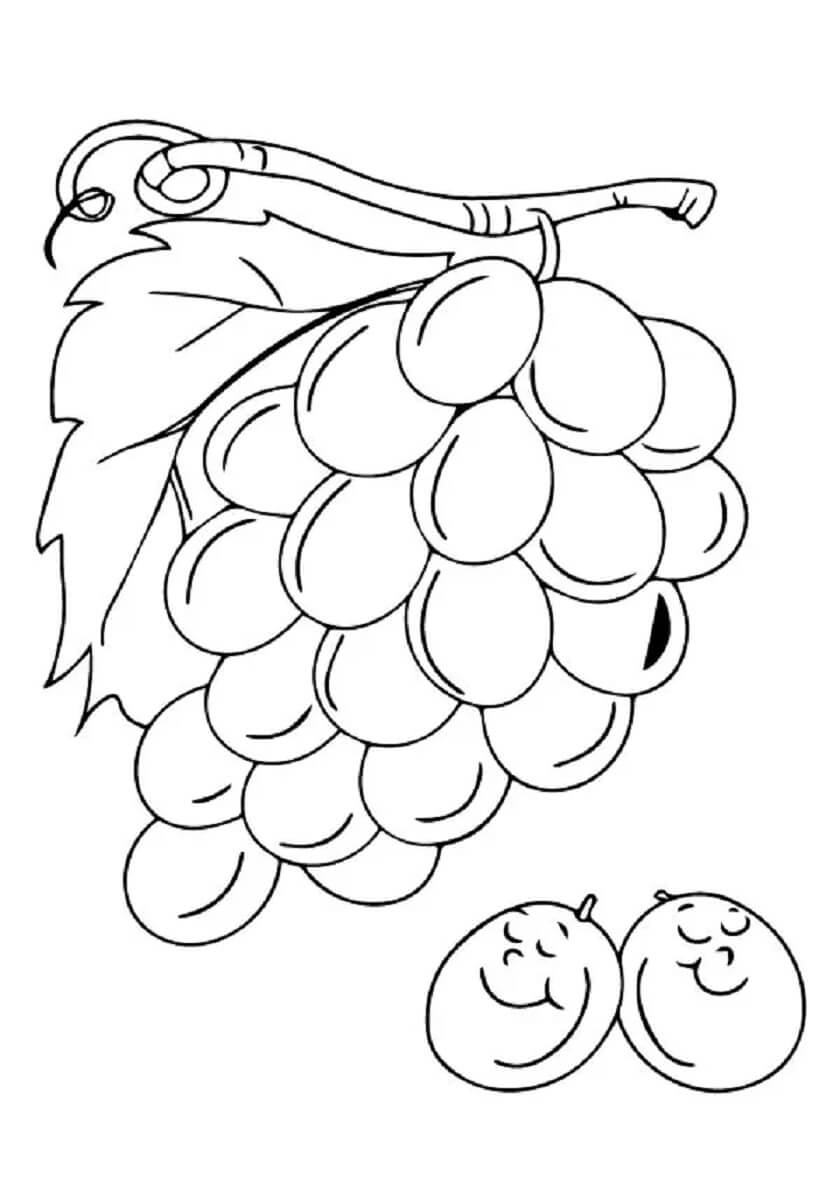 Dibujo de Gráficos de Uvas Gratis para Colorear