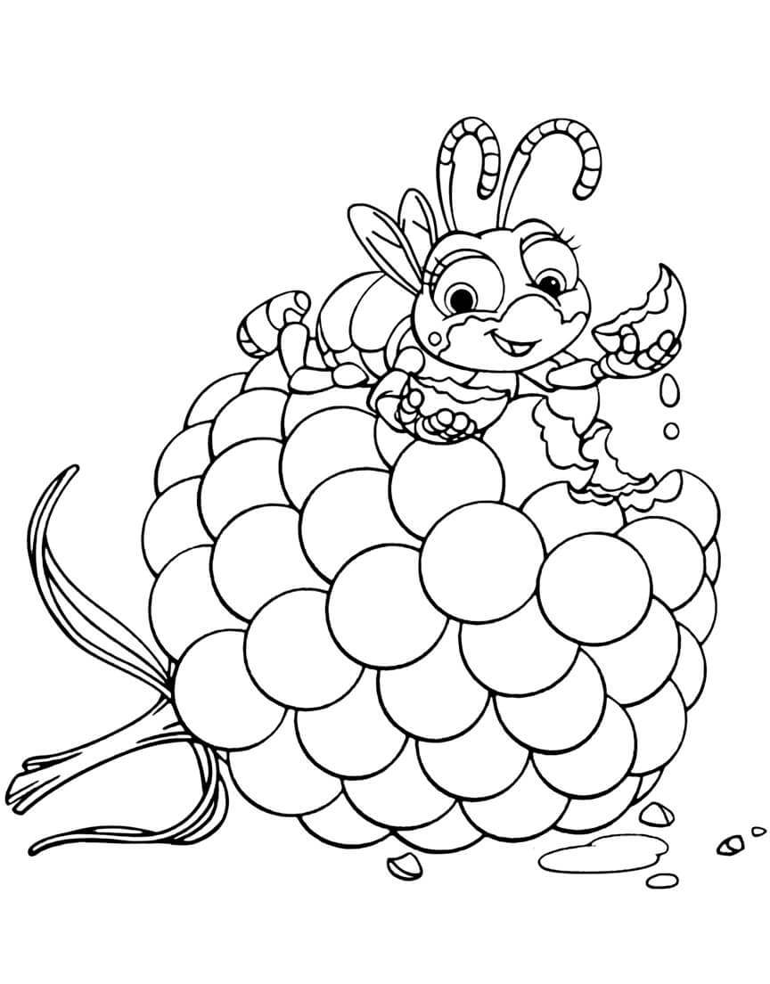 Dibujo de Hormiga Comiendo Uvas para Colorear