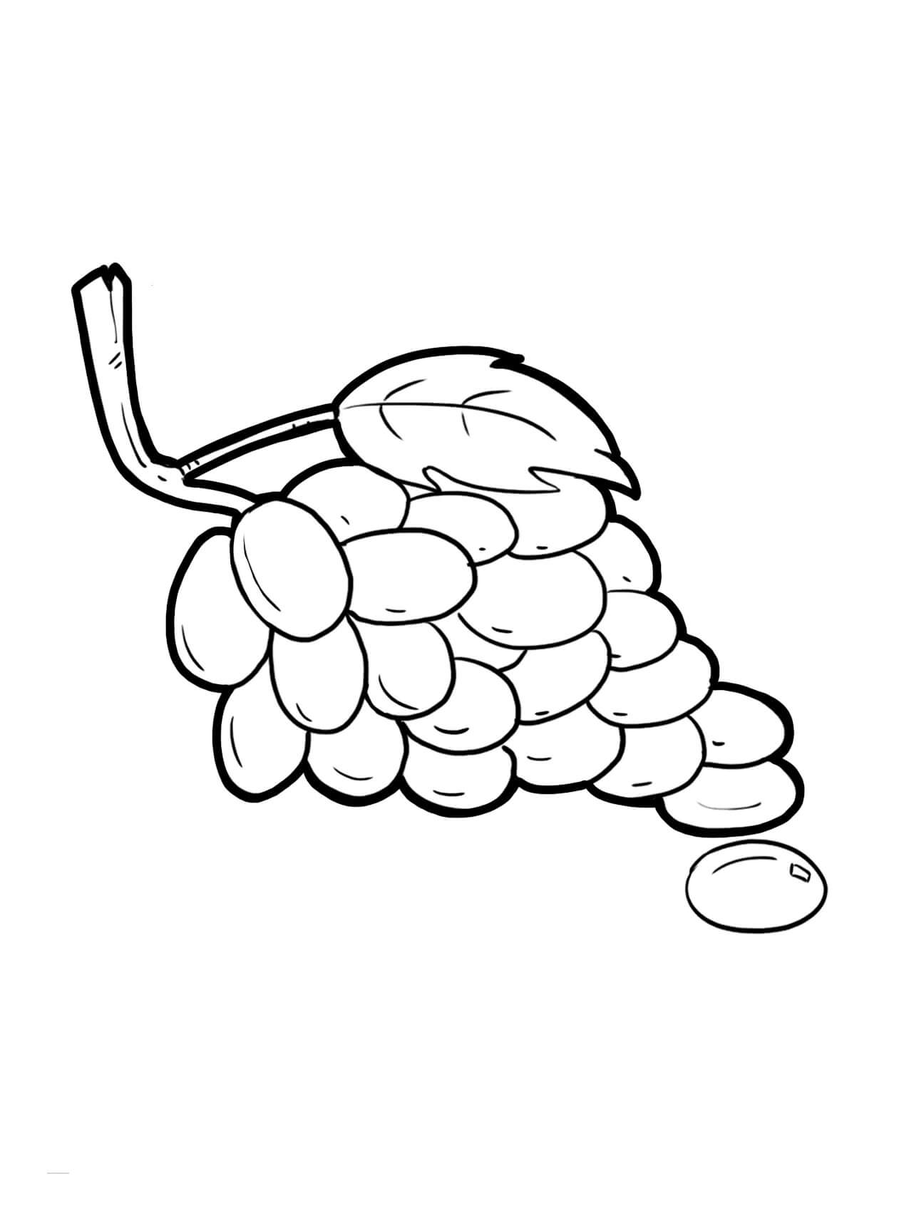 Dibujo de Idea Libre de Uvas para Colorear