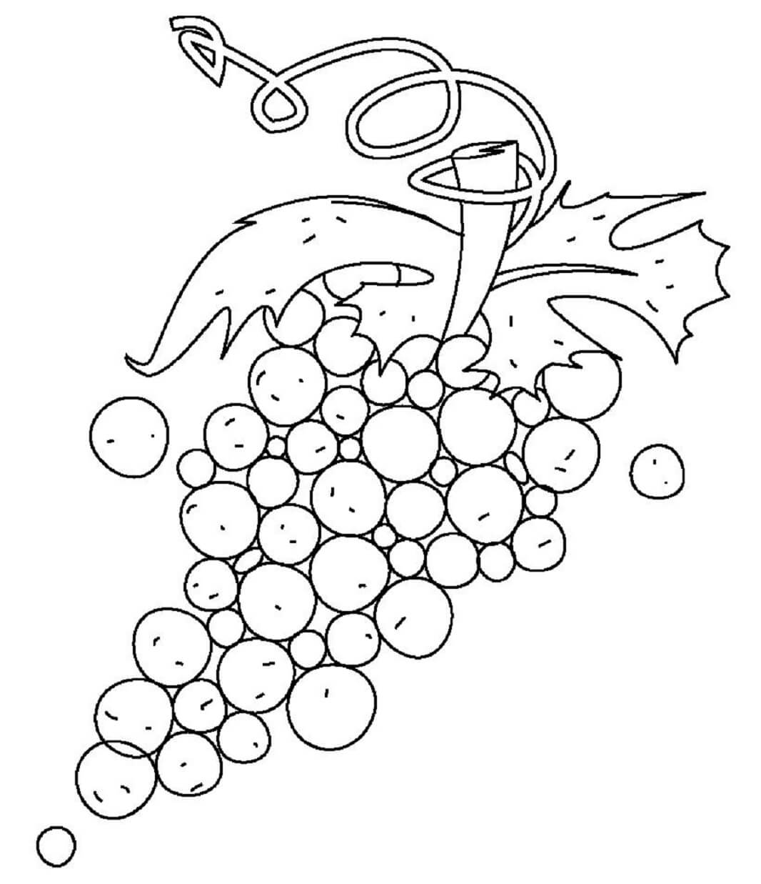 Dibujo de Imágenes sin Uvas para Colorear