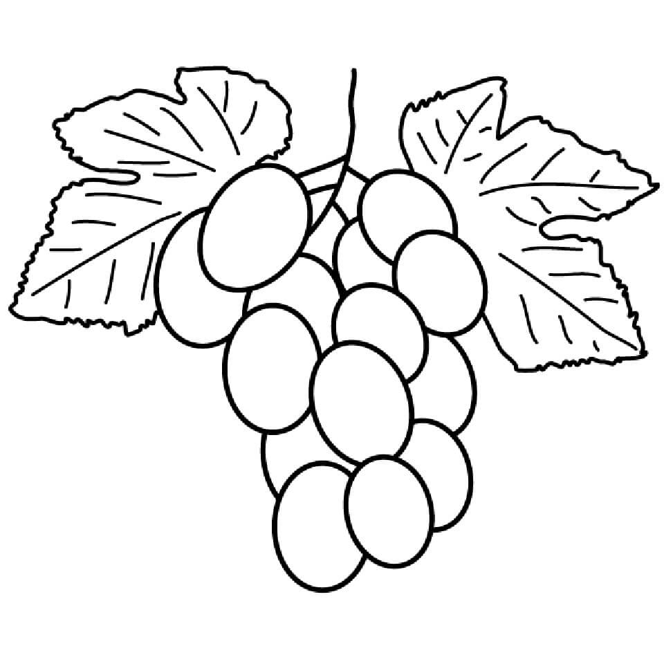 Dibujo de Racimo de Uvas para Colorear