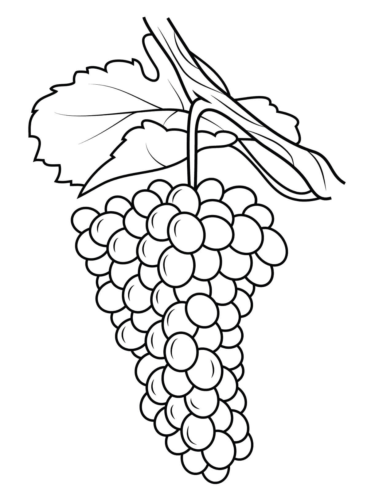 Dibujo de Uvas Asombrosas para Colorear