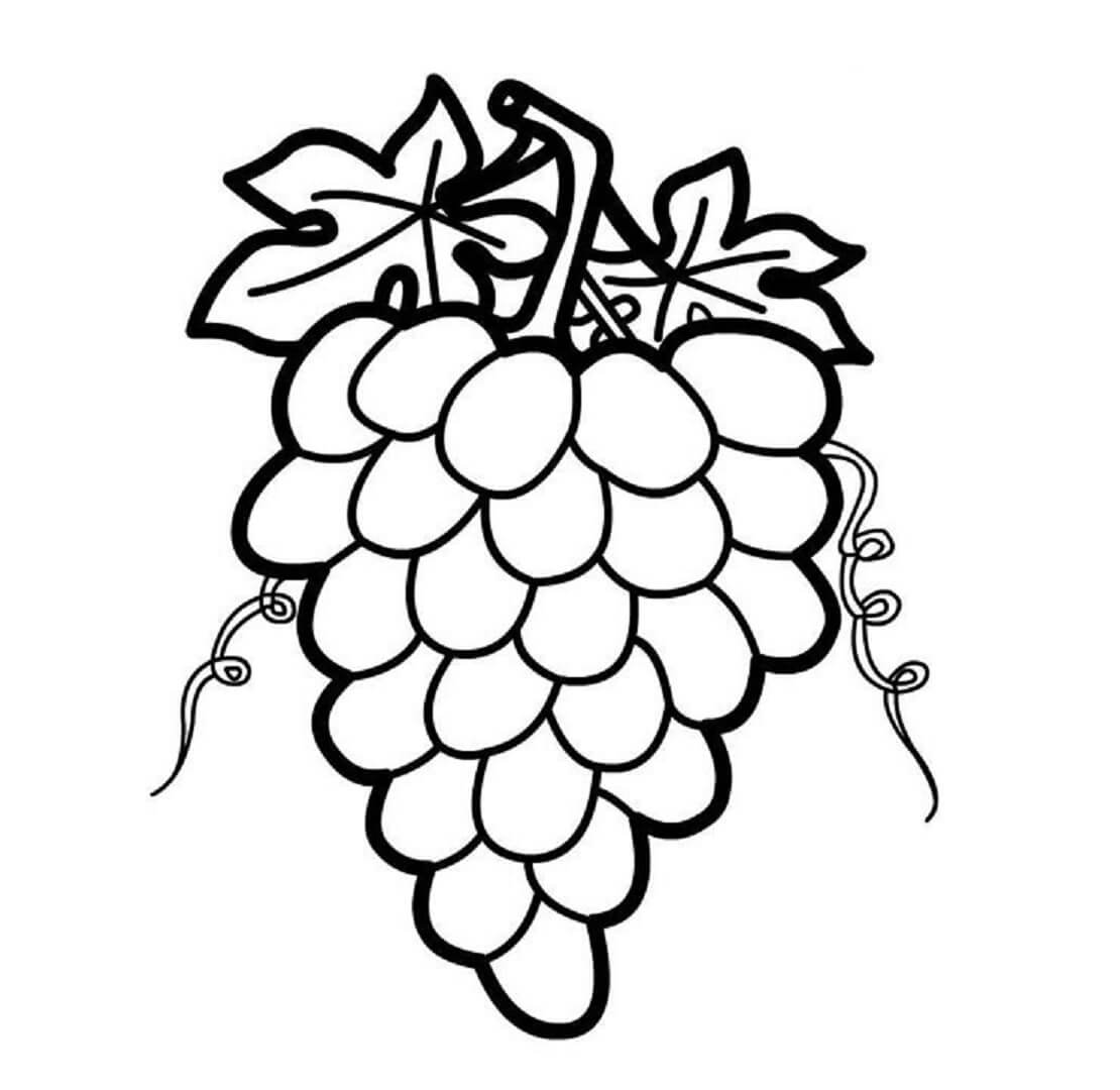 Dibujo de Uvas básicas con Hojas para Colorear
