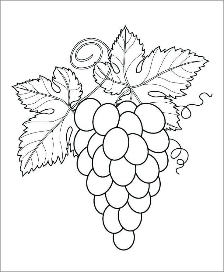 Dibujo de Uvas con Dos Hojas para Colorear