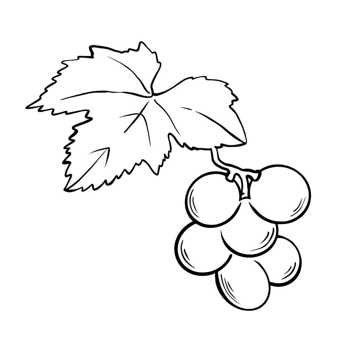 Dibujo de Uvas con Hoja para Colorear