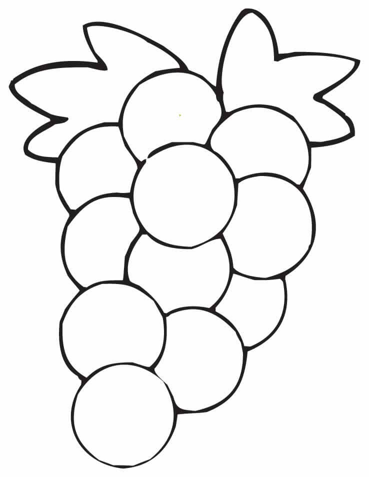 Dibujo de Uvas de diseño básico para Colorear